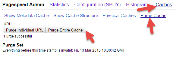 Xóa cache trong Google Pagespeed