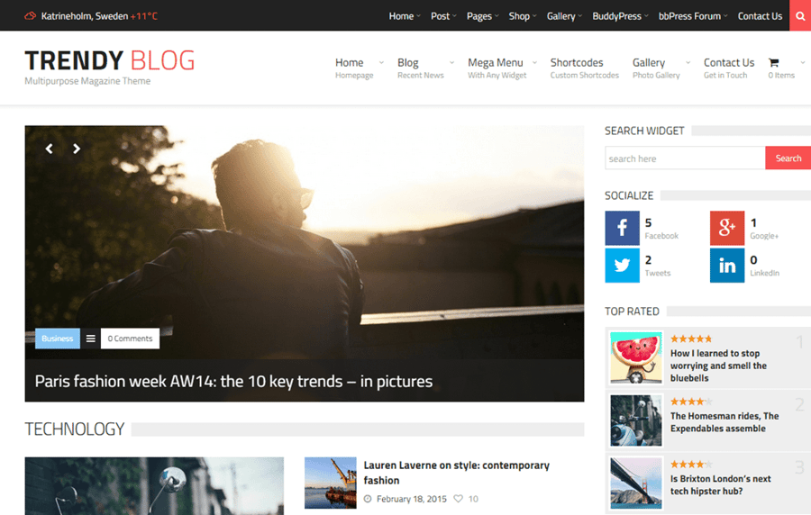 trendyblog-review-theme