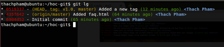 beauty-git-log