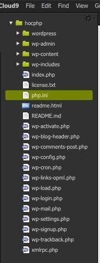 cloud9-php.ini
